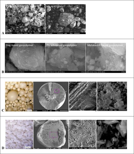 Figure 1. Digital microscope and SEM images of LDHs (A), geopolymers (B), softening pellets (C) and struvite (D).