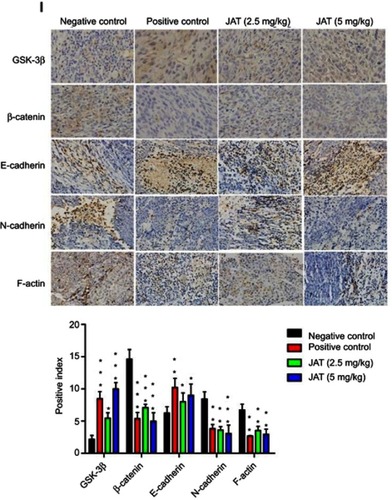 Figure 8 JAT suppressed tumor growth and metastasis in vivo.
