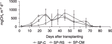 Figure 2  Methane emission rates inside the saline patch. The vertical bar represents the confidence interval of the mean at 95%. SP, plots inside the saline patch; C, control treatments with no amendments; RS, rice-straw amendment treatments; CM, cow-manure amendment treatments.