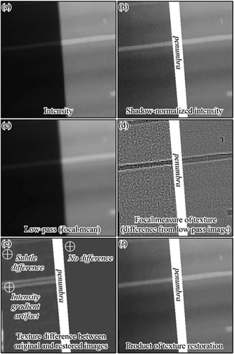Figure 5. Illustration of the texture restoration procedure applied to shadow-normalized intensity images: (a) unaltered intensity image containing shadow; (b) shadow-normalized product derived using the pseudo-invariant feature based linear regression (PIF-LR) technique; (c) unaltered intensity image after low-pass filtering with a 3-x-3 moving average kernel (low-pass filter was also applied to shadow-normalized image); (d) estimate of localized texture artifacts stemming from shadow normalization, based on contrast between the shadow-normalized and unaltered intensity images compared to low-pass filtered versions of each image (measuring changes in localized texture); texture differences were subtracted from shadow-normalized image; (e) difference in focal standard deviation (based on a 3-x-3 kernel) between the shadow-normalized intensity image; and (f) product of the shadow normalization and texture restoration procedures which preserves more detail than the low-pass filtered product.