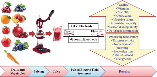 Figure 1. Effect of PEF treatment on the properties of fruit and vegetable juices.