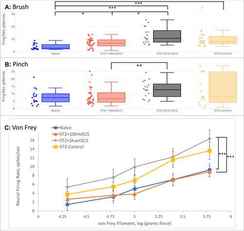 Figure 5 Firing rate of dorsal horn neurons for each experimental group in response to (A) innocuous brush, (B) painful pinch, and (C) graded von Frey filament probing, of plantar surface of left hind paw. * p < 0.05; ** p < 0.01; *** p < 0.001.