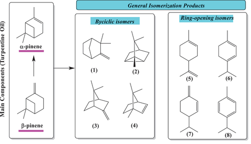 Figure 2. Main isomerization products of α-pinene and β-pinene: (1) camphene, (2) tricyclene (3) α-fenchene (4) bornylene (5) limonene (6) terpinene (7) β-phellandrene (8) p-cymene. *p-cymene is obtained as a secondary product for the aromatization (or dehydrogenation) of limonene-derivatives not corresponding to isomers of α- or β–pinene.