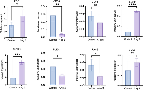 Figure 8 The mRNA levels of eight key genes in the H9c2 cells from cardiomegaly group and control group. Error bars indicate mean ± standard deviation. *P<0.05, **P<0.01; ***P<0.001, ****P<0.0001.