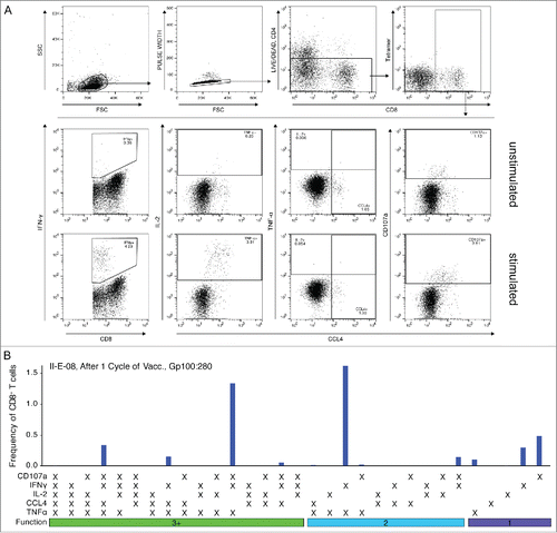Figure 2. Gating strategy to measure the functional CD8+ T cell response using flow cytometry and response pattern. CD8+ T cells were stimulated as described using αCD28/αCD49-coated beads with or without specific peptide (unstimulated, stimulated) and the expression of IFNγ, TNFα, CCL4, IL-2 and CD107a was measured. (A) Shown is the gating strategy for one representative sample. Expression of functional markers was determined using single gates. (B) Stimulated samples were background-subtracted using the unstimulated control and functional combinations were computed using the Boolean gating algorithm included in FlowJo. Displayed is the frequency of CD8+ T cells showing each of the 31 possible functional patterns. Non-responding cells are not shown.