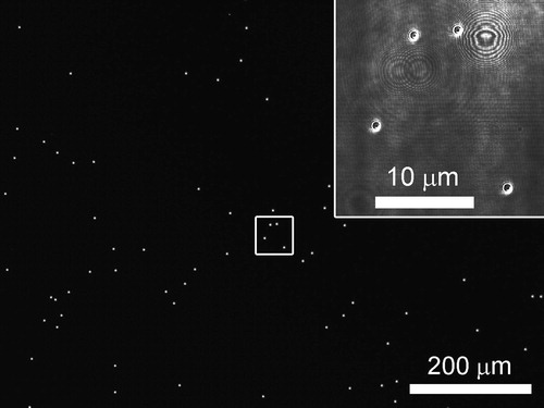 Figure 7. Optical micrograph of a PNS wafer whose particle number is about 11,000. PSL particles with a 0.814 µm particle diameter were used to fabricate the PNS wafer. A laser optical microscope set to 10× magnification was used to obtain the image. Inset image is the close-up of the boxed area under 100× magnification.