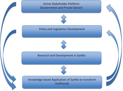 Figure 2. Flow chart of critical activities to be adopted by the majority of African countries to make the adoption of SynBio successful.