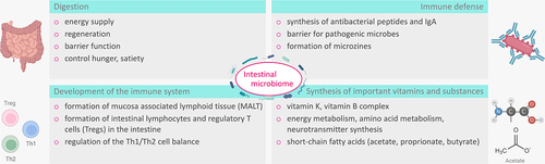 Figure 1. Physiological function of the intestinal microbiome: The gut microbiota support digestion, synthesis of important substances such as SCFAs and vitamins, immune development, and defenses.