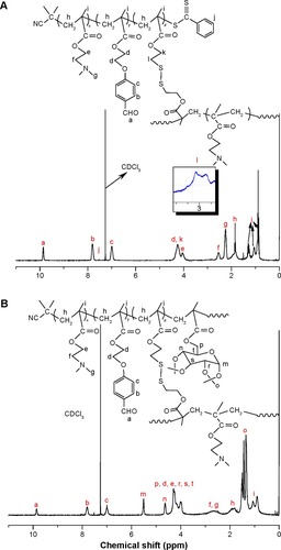 Figure 2 1H-NMR spectra of the branched polymer, BP(DMAEMA-co-MAEBA-co-DTDMA), BP-3 (A), and the branched star polymer, (DMAEMA-co-MAEBA-co-DTDMA) (PMALGP)n, BSP-3 (B).Abbreviations: PMAIGP, poly(6-O-methacryloylproperty-1,2; 3,4-di-O-isopropylidene-D-galactopyranose); 1H-NMR, hydrogen-1 nuclear magnetic resonance; BP, branched polymer; DTDMA, 2,2′-dithiodiethyoxly dimethacrylate; DMAEMA, 2-(N,N-dimethy laminoethyl)methacrylate; MAEBA, p-(methacryloxyethoxy)benzaldehyde.