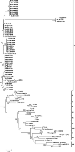 Figure 4.  Phylogenetic tree of NDV reference strains representing the previously established class II genotypes I to IX viruses, and all the 43 class II isolates from surveillance in domestic ducks in this study (set in bold), showing major genotypes and their relationships in this class. The tree is based on comparison of partial F gene sequence (between nt 47 and 420). Accession number and other background information of the reference strains are in Table 3.