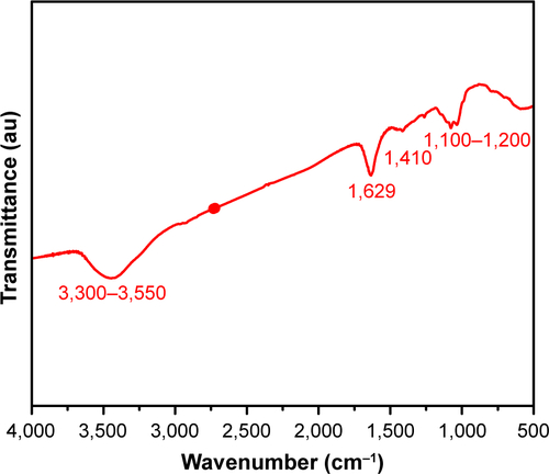 Figure S3 FTIR of 1% trypsin.Notes: Showing vibrations of C=N at 1,629 cm−1, stretching modes of O−H and C−O−C at 1,100–1,200 cm−1, and stretching vibration of C−H at 3,300–3,550 cm−1 as previously identified in references 2 and 3.Abbreviation: FTIR, Fourier-transform infrared spectroscopy.