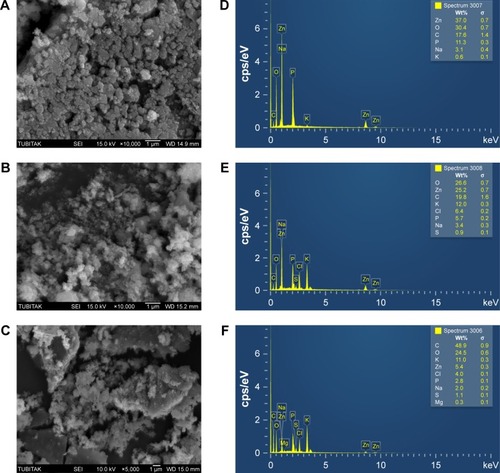Figure 6 SEM images of ZnO NPs synthesized using Albizia lebbeck stem bark extract: (A) 0.1M, (B) 0.05M, and (C) 0.01M. EDX spectra of the ZnO NPs: (D) 0.1M, (E) 0.05M, and (F) 0.01M.Abbreviations: EDX, energy-dispersive X-ray spectroscopy; SEM, scanning electron microscope; ZnO NPs, zinc oxide nanoparticles; cps/eV, counts per second per electron-volt.