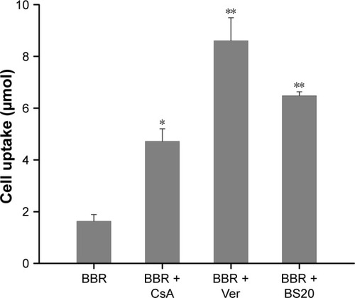 Figure 3 Effects of verapamil, cyclosporin A, or Brij-S20 on cellular uptake of BBR in MDCK-MRD1 cells. The cells were treated with BBR (100 µM) in the absence or presence of verapamil (10 µM), cyclosporin A (2 µM), and Brij-S20 (8.1 µM) at 37°C for 90 min. Data are represented as the mean ± SD (n = 3). *p < 0.05, **p < 0.01 vs BBR group.Abbreviations: BBR, berberine; BS20, Brij-S20; CsA, cyclosporin A; Ver, verapamil.