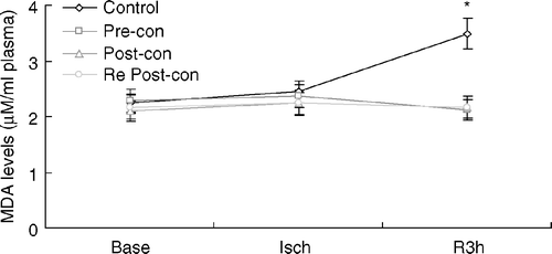 Figure 3.  Line graph showing plasma malondialdehyde (MDA) levels during the course of experiment. Base = baseline; Isch = end of ischemia; Pre-con = Ischemic Preconditioning; Post-con = Ischemic Postconditioning; R3h = 3 h of reperfusion; Re Post-con = Remote Postconditioning. There was no significant difference among the four groups at baseline and after 30 min of ischemia. However, plasma MDA was significantly greater in Control at R3h compared to Pre-con, Post-con and Re Post-con. *p < 0.01, Control vs. Pre-con, Post-con and Re Post-con at 3 h of reperfusion. Values are means±SD.
