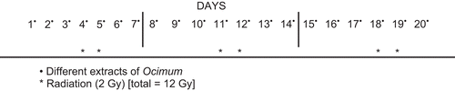 Figure 1.  Treatment schedule for animals treated with chemo/radiotherapy alone/combined.