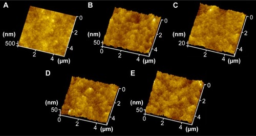 Figure 1 AFM images on various surfaces.Notes: (A) Pristine PDMS, (B) p (DMAEMA+), (C) p (DMAEMA+-co-0.10 MPC), (D) p (DMAEMA+-co-0.25 MPC), and (E) p (DMAEMA+-co-0.50 MPC). p (DMAEMA+-coMPC) copolymer brush coatings were synthesized by RAFT polymerization in DMAEMA+/MPC monomer solution in ethanol in the mass ratio of 1:0, 1:0.1, 1:0.25, and 1:0.5 and the obtained samples were named as P1-0, P1-0.1, P1-0.25 and P1-0.5, respectively.Abbreviations: AFM, atomic force microscopy; PDMS, poly(dimethyl siloxane); p (DMAEMA+-co-MPC), (2-(dimethylamino)-ethyl methacrylate-co-2-methacryloyloxyethyl phosphorylcholine); MPC, 2-methacryloyloxyethyl phosphorylcholine; DMAEMA, 2-(dimethylamino)-ethyl methacrylate; RAFT, reversible addition–fragmentation chain transfer.
