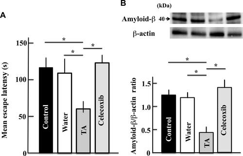 Figure 8 Effects of celecoxib (COX-2 inhibitor) on the memory and learning abilities (A) and expression of amyloid-β (B) in aging mice. Two years after treatment, we measured the memory and learning abilities and levels of amyloid-β using the Morris water maze test and Western blot analysis, respectively. Values are expressed as means ± standard deviations derived from measurements from 10 mice. *p < 0.05.