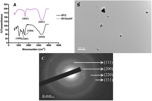 Figure 3 (A) Fourier-transform infrared spectrometry (FTIR) of the gel extract (BFG) and synthesized gold nanoparticles (BFGAuNPs), (B) high-resolution transmission electron microscopy (HRTEM) and (C) selected area diffraction pattern (SAED).