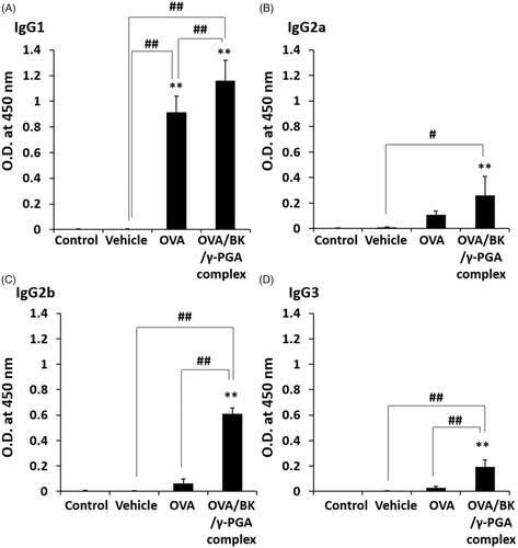 Figure 5. IgG subtypes in serum after pulmonary administration of the complex. Mice were treated four times with vehicle, OVA and the OVA/BK/γ-PGA complex weekly by pulmonary administration. Two weeks after the last administration, the mice were sacrificed, and blood samples were collected to measure OVA-specific IgG1 (A), IgG2a (B), IgG2b (C) and IgG3 (D) in the serum by ELISA. The 5% glucose solution was used as the control. Each value represents the mean ± S.E. (n = 4–5). **p < .01 vs. control, #p < .05, ##p < .01.
