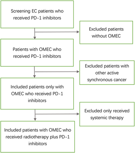 Figure 1 The patient screening process: screening EC patients received PD-1 inhibitors in our center, 800 patients received PD-1 inhibitors were screed, excluded 576 patients without OMEC. 224 patients with OMEC received PD-1 inhibitors were screed, 11 patients with other active synchronous carcinomas were excluded. Subsequently, 213 patients with OMEC received PD-1 inhibitors were screed, 127 patients who only received systemic therapy were excluded. Eventually, 86 patients with OMEC who received radiotherapy plus PD-1 inhibitors were included in this study.