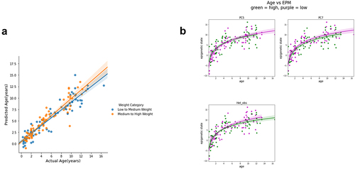 Figure 5. Weight moderates epigenetic age. (a) Weight values were sorted into the two categories, low-to-medium weight (blue) and medium-to-high weight (Orange), by using the median weight(42.3 lbs) as the cut-off, and the slopes of epigenetic age vs. actual age for the two weight groups are shown. (b) Age vs epigenetic state plots split by value of the 3 significant traits: PC5, PC7, and heterozygosity. The purple points are samples with values higher than the median and the green points are samples with values lower than the median.