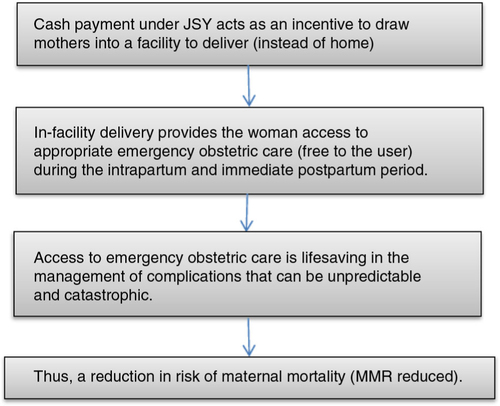 Fig. 1 The rationale of the Janani Suraksha Yojana (JSY) program to promote institutional delivery.