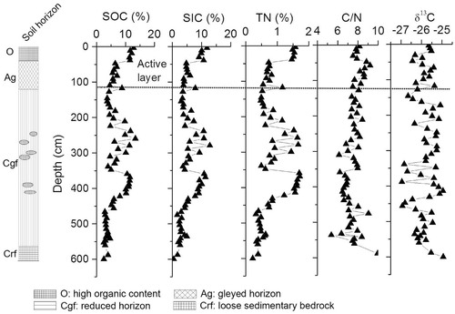 FIGURE 5. Variation of soil organic carbon (SOC), soil inorganic carbon (SIC), total nitrogen (TN), C/N ratios, and δ13C‰ with depth at Site A.