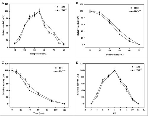 Figure 3. Effect of temperature and pH on enzyme activity and stability. (A) Effect of temperature on enzyme activity. The maximum activity at 35°C was taken as 100%. (B) Effect of temperature on enzyme stability. Enzymes were incubated for 1 h at the indicated temperatures. The samples were then measured under standard conditions. The activity without treatment was taken as 100%. (C) Time-course thermal stability. The enzyme activities were determined by evaluating residual activities after incubation for 0 min, 10 min, 20 min, 30 min, 40 min, 60 min, 90 min and 120 min at 60°C. The activity without treatment was taken as 100%. (D) Effect of pH on enzyme activity. The enzyme activity was measured at 35°C in different buffers with pH values ranging from 3 to 11. The maximum activity observed in pH 7.0 buffer was taken as 100%. The error bars represent the SD of the mean calculated for 3 replicates. The circles represent IDO, and the squares represent IDOM3.