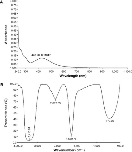 Figure 1 (A) UV-visible spectra and (B) FTIR spectra of Ag-NPs synthesized using Pteris tripartita Sw. leaf extract with 1 M AgNO3 solution.Abbreviations: AgNO3, silver nitrate; Ag-NPs, silver nanoparticles; FTIR, Fourier transform infrared spectroscopy; UV, ultraviolet.