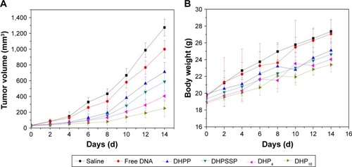 Figure 12 The mean tumor volume (A), body weight (B), tumor graph (C), and inhibition rate (D) of Kunming mice bearing S180 cells, on intravenous administration of the different formulations (n=6).Abbreviations: DHP, pDNA/HMGB1/PAMAM-SS-PEG-RGD; DHPP, pDNA/HMGB1/PAMAM-PEG; DHPSSP, pDNA/HMGB1/PSSP; IR, inhibition rate; PAMAM, polyamidoamine; PEG, polyethylene glycol; PSSP, PAMAM-SS-PEG; RGD, arginine-glycine-aspartate.