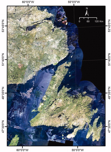 Figure 2. Illustration of a Landsat BAP true color proxy composite image (RGB = Bands 4, 3, 2) for 2003.