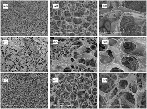 Figure 2. Scanning electron microscope images of pure PLGA (a1–a3), MBG/PLGA (b1–b3) and van-MBG/PLGA (c1–c3) scaffolds.