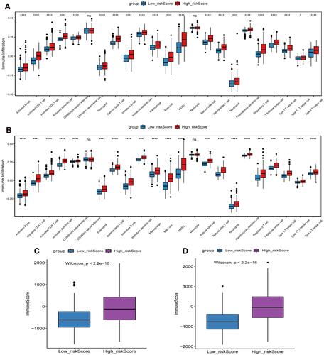 Figure 8 Differences in immune cell infiltration and immune score between high and low risk score groups. (A) The difference of immune cell infiltration between high and low risk score groups in CGGA cohort; (B) The difference of immune cell infiltration between high and low risk score groups in TCGA cohort; (C) The difference of immune score between high and low risk score groups in CGGA cohort; (D) The difference of immune score between high and low risk score groups in TCGA cohort. *P<0.05; ****P<0.0001. P <0.05 was considered statistically significant.