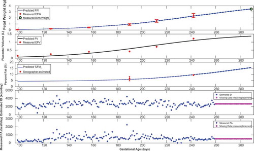 Figure 3. Time-domain response (foetal weight, placental volume, and foetal % body fat) with energy intake and physical activity for a representative HMZ intervention participant (participant A) (simulation starts at the day of first ultrasound measurement and ends at birth).