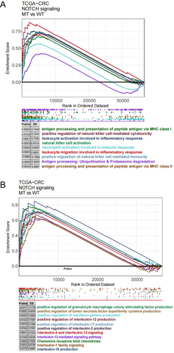 Figure 6 (A) In the TCGA-CRC cohort, differences in immune cells (A) and cytokines (B) were observed between NOTCH-WT and NOTCH-MT CRC patients (identified by GSEA).