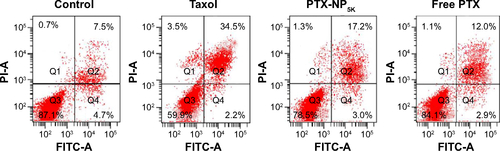 Figure S3 Cell apoptosis analysis of S180 cells with Taxol®, PTX-NP5K, and free PTX after 24 hours treatment.Abbreviations: PTX, paclitaxel; NP, nanoparticles; FITC, fluorescein isothiocyanate; PI, propidium iodide.