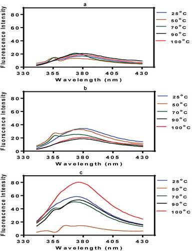 Figure 2. Fluorescence intensity of untreated (25°C) and heat-treated PP I: (a) pH 3.0; (b) pH 5.0; (c) pH 7.0.Figura 2. Intensidad de la fluorescencia aplicada al aislado de proteína de arveja sin tratamiento (25o C) y con tratamiento tármico: (a) pH 3.0; (b) pH 5.0; (c) pH 7.0.