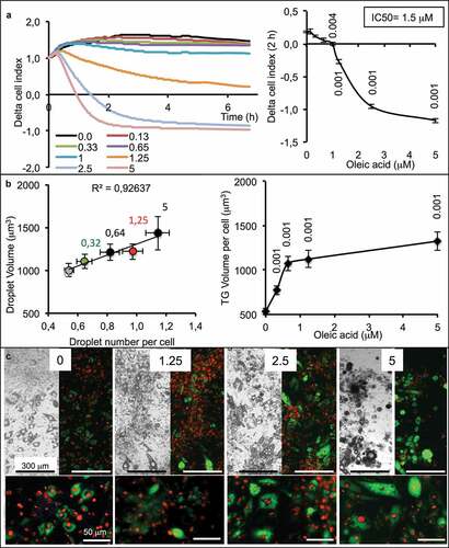 Figure 2. Dose-response of partially differentiated 3T3L1-MBX adipocytes (D5) to oleic acid (OA) during 24 h (High glucose). (a) RTCA analysis of dose-dependent response to OA is highly sensitive and reveals cell adhesion force reduction due to TG accumulation within few hours. IC50 was of 1.5 µM and allowed TG accumulation up to 5 µM (B). Higher concentrations of OA increased droplet volumes (i.e. TG accumulation) and number (until 5 µM), thus increasing intracellular TG content in a dose-dependent manner to OA concentration. (c) Bright field and fluorescent merged images of cell cultures (objective x4, upper panels) nuclei were labeled with Hoechst 33258 (red) and lipid droplets with AdipoRed (green), lower line (objective x20, lower panels).