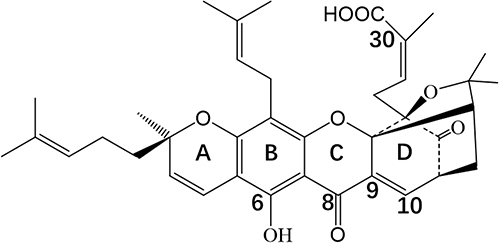 Figure 1 The chemical structure of GA.