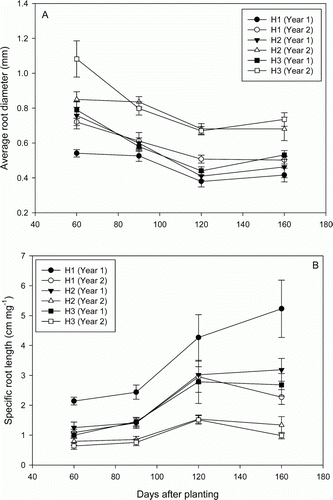 Figure 2.  Effect of sampling position and year on (A) average root diameter and (B) specific root length of D. rotundata. Data presented as mean values from fertilized and unfertilized treatments (n = 8). Vertical bars are standard errors. H1, H2 and H3 represent sampling positions.