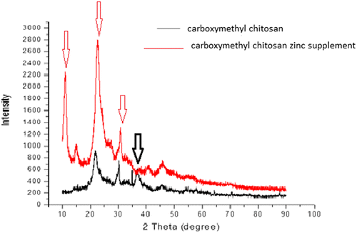 Figure 5. XRD spectral of carboxyl methyl chitosan and carboxyl methyl chitosan zinc supplement.