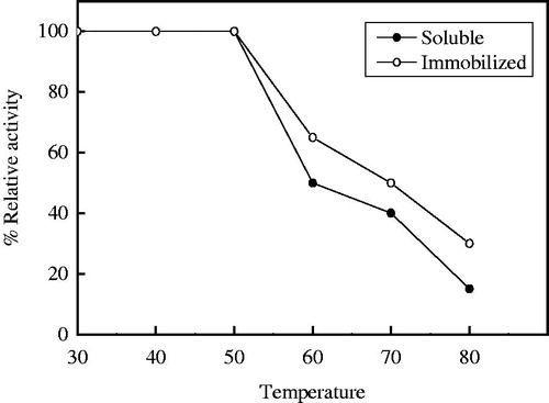 Figure 8. Thermal stability of soluble and immobilized T. harazianum α-amylase on PPyAgNp/Fe3O4-nanocomposite. Each point represents the average of two experiments.