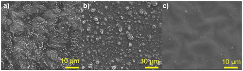 Figure 9. SEM images of (a) monomer SeBTz, (b) electrochemically synthesized (E-PSeBTz) and (c) chemically synthesized (C-PSeBTz).