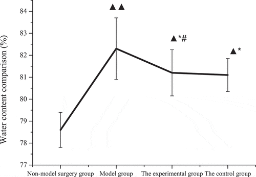 Figure 6. Comparison of water content in the brain tissue of rats in each group (xˉ±s).