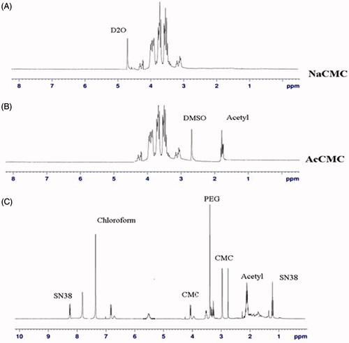 Figure 2. (A) 1HNMR spectra of Na-CMC in deionized water, (B) 1HNMR spectrum of Ac-CMC in DMSO-d6, and (C) 1HNMR spectrum of PEG-AcCMC-SN38 in chloroform.