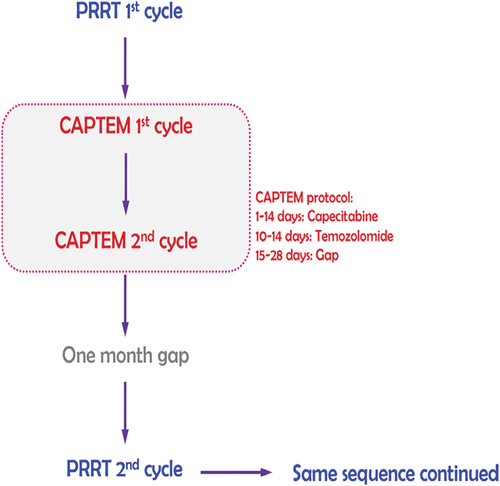 Figure 11. Sandwich Chemo-PRRT protocol flowchart used in our setting (Reproduced with permission from Basu et al [Citation37].