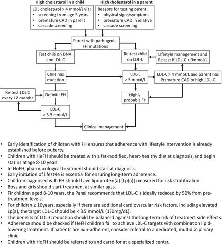 Figure 2 Strategies for the diagnosis and management of familial hypercholesterolemia (FH) in children and adolescents (EAS). Premature coronary heart disease is defined as a coronary event before age 55 and 60 years in men and women, respectively. Definite FH is defined as genetic confirmation of at least one FH-causing genetic mutation. Close relative is defined as 1st or 2nd degree relatives. Highly probable FH is based on clinical presentation (ie, phenotypic FH): either an elevated low-density lipoprotein cholesterol (LDL-C) level ≥5 mmol/L in a child after dietary intervention or a LDL-C level ≥4 mmol/L in a child with a family history of premature coronary heart disease in close relatives and/or high baseline cholesterol in one parent. Cascade screening from an index case with a FH-causing mutation may identify a child with elevated LDL-C levels ≥3.5 mmol/L. Reproduced with permission from Wiegman A, Gidding SS, Watts GF, et al. European atherosclerosis society consensus panel. Familial hypercholesterolaemia in children and adolescents: gaining decades of life by optimizing detection and treatment. Eur Heart J. 2015;36(36):2425–2437.Citation10