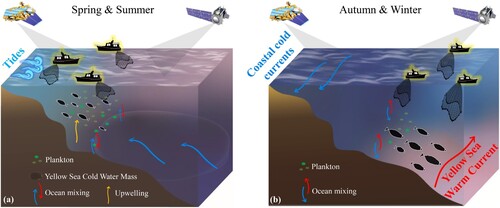 Figure 8. Spatiotemporal distribution mechanism of nighttime fisheries in the Yellow-Bohai Sea in (a) spring and summer, and (b) autumn and winter under the influence of the marine environment.