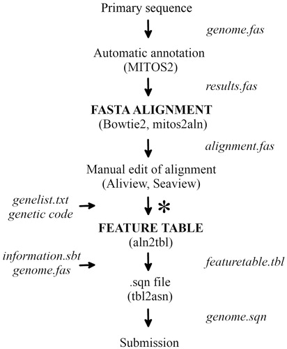 Figure 1. Procedure from primary mitochondrial sequence to submission to GenBank. *Indicates the position of the aln2tbl script.