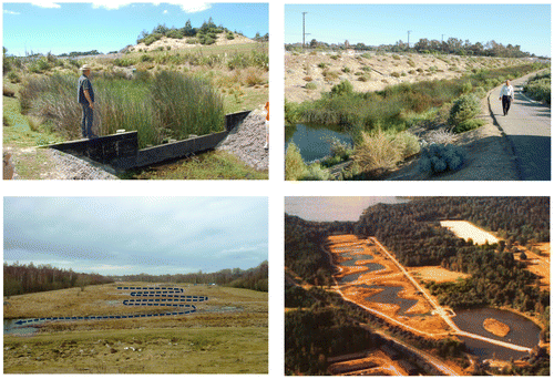 Figure 3. Example wetlands in New Zealand (from outlet structure), California (forebay to left) and Sweden (with sinuous flowpath). Bottom right photo: courtesy of Växjö municipality.